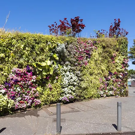 Lejlighed Home2book Spacious & Modern Escape In Cruz *