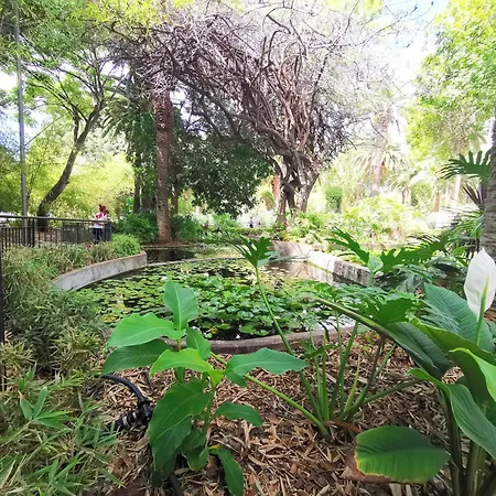 Lejlighed Home2book Spacious & Modern Escape In Cruz Santa Cruz de Tenerife