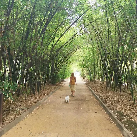 Home2book Spacious & Modern Escape In Cruz *